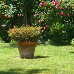 Отель Le Jardin de Beauvoir Франция, Лион - отзывы, цены и фото номеров - забронировать отель Le Jardin de Beauvoir онлайн фото 8