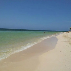 Отель Relax in Sunny Montego Bay, JA Ямайка, Монтего-Бей - отзывы, цены и фото номеров - забронировать отель Relax in Sunny Montego Bay, JA онлайн пляж фото 2