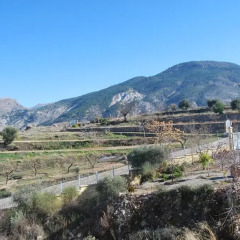 Отель La Encina Centenaria 2* Стандартный номер с различными типами кроватей фото 8