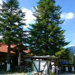 Отель Cabana Poiana Secuilor Румыния, Предял - отзывы, цены и фото номеров - забронировать отель Cabana Poiana Secuilor онлайн фото 2