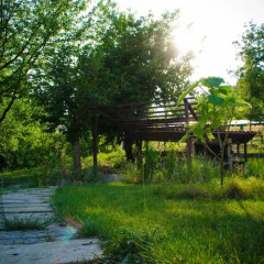 Отель Albero del Kiri B&B Каваньола приотельная территория