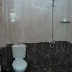 Family Hotel Aleks 2* Стандартный номер фото 14
