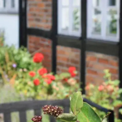 Отель Stora Herrestad B&B фото 16