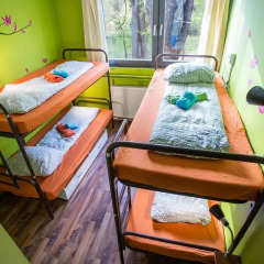 Island Hostel Adults only Кровать в общем номере фото 6