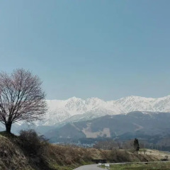 Отель Pension Blue Хакуба фото 6