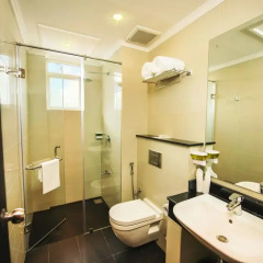 Fair View Hotel Colombo 3* Номер Делюкс с различными типами кроватей фото 3