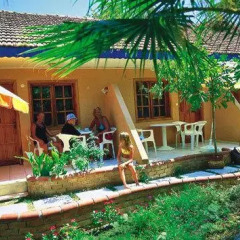 Tropic Hotel 3* Стандартный номер с различными типами кроватей фото 3