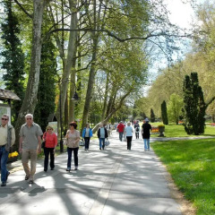 Отель Margaret Apartman фитнесс-зал