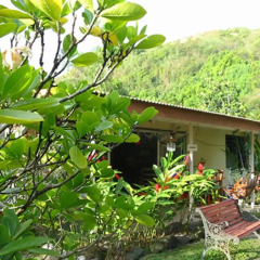 Pension Te Miti - Hostel фото 14