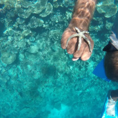 Отель Seashine Maldives Guest House спортивное сооружение