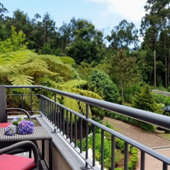 Отель Quinta Cova do Milho 3* Стандартный номер разные типы кроватей фото 5