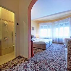 Hotel Anton 3* Стандартный номер с двуспальной кроватью фото 3