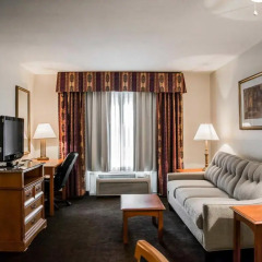 Отель Clarion Inn & Suites Clearwater комната для гостей фото 5
