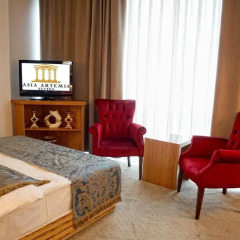 Отель Asia Artemis Suite 3* Стандартный номер с двуспальной кроватью фото 9