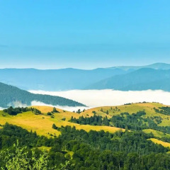 База отдыха Камянка фото 7
