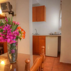 Alexandra Hotel 2* Студия с различными типами кроватей фото 2