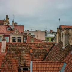 Отель Artagonist Art Hotel Литва, Вильнюс - 1 отзыв об отеле, цены и фото номеров - забронировать отель Artagonist Art Hotel онлайн фото 3