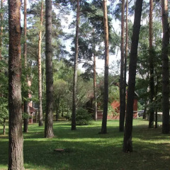 Гостиница Rublevka Inn в Барвихе отзывы, цены и фото номеров - забронировать гостиницу Rublevka Inn онлайн Барвиха фото 6