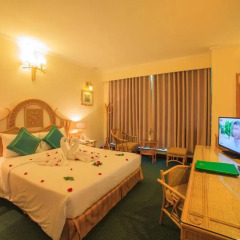 Green Hotel 4* Номер Делюкс с различными типами кроватей фото 3