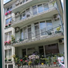 Отель Nely Family Hotel Болгария, Поморие - отзывы, цены и фото номеров - забронировать отель Nely Family Hotel онлайн фото 5
