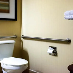 Отель Holiday Inn Niagara Falls Scenic Downtown США, Ниагара-Фолс - отзывы, цены и фото номеров - забронировать отель Holiday Inn Niagara Falls Scenic Downtown онлайн ванная