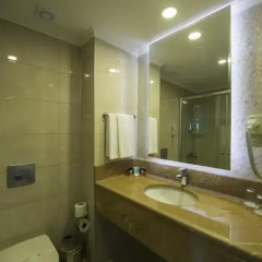 Palm World Side Resort & SPA 5* Стандартный номер с различными типами кроватей фото 4