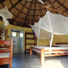 Отель Pariango Beach Motel комната для гостей
