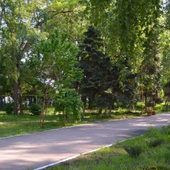 Гостиница Zeleny Kampus Украина, Одесса - отзывы, цены и фото номеров - забронировать гостиницу Zeleny Kampus онлайн фото 8