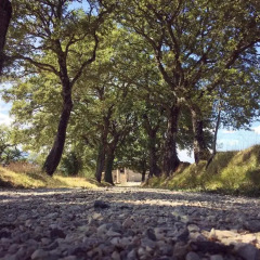 Отель Agriturismo IPoderi Pietraporciana Кьянчиано Терме приотельная территория