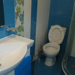 Отель Your House Армения, Дилижан - отзывы, цены и фото номеров - забронировать отель Your House онлайн ванная фото 2