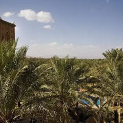 Отель Palais Asmaa Марокко, Загора - отзывы, цены и фото номеров - забронировать отель Palais Asmaa онлайн фото 4