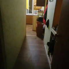 Mini-hotel Ekonomnaya Derevnia Люкс фото 5