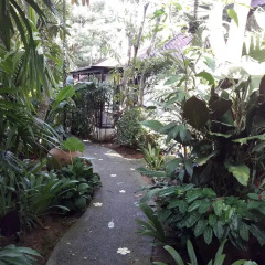 Отель Cocoville Phuket Resort