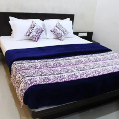 Hotel Aarya Inn 2* Улучшенный номер с различными типами кроватей фото 3