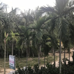 Отель Family Homestay пляж