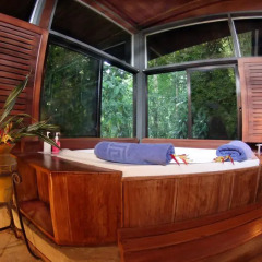 Отель Chachagua Rainforest Ecolodge 3* Стандартный номер с различными типами кроватей фото 7
