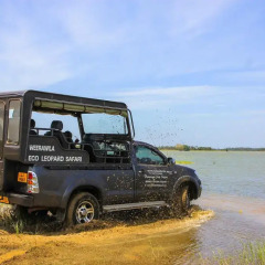 Wila Safari Hotel городской автобус