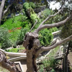 Отель Villa Lara Hotel Италия, Амальфи - отзывы, цены и фото номеров - забронировать отель Villa Lara Hotel онлайн фото 6