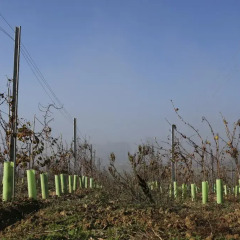 Отель Entre Vinhas e Mar детские мероприятия
