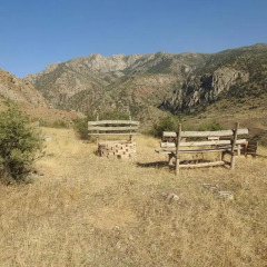 Отель Eco Lodge in the Caucasus Wildlife Refuge Армения, Лусарат - отзывы, цены и фото номеров - забронировать отель Eco Lodge in the Caucasus Wildlife Refuge онлайн фото 8