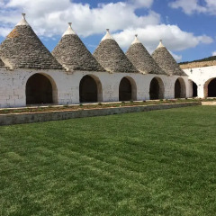 Отель Masseria Pilano Италия, Криспьяно - отзывы, цены и фото номеров - забронировать отель Masseria Pilano онлайн фото 5