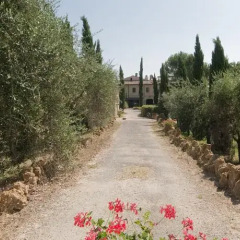 Отель Tenuta Decimo - Villa Dini Италия, Сан-Джиминьяно - отзывы, цены и фото номеров - забронировать отель Tenuta Decimo - Villa Dini онлайн фото 8