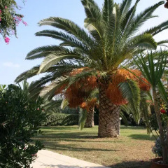 Отель Gorgona 3* Стандартный номер с различными типами кроватей фото 20