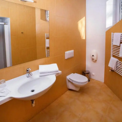 Отель Hof Hotel Sfinksas Литва, Каунас - отзывы, цены и фото номеров - забронировать отель Hof Hotel Sfinksas онлайн ванная фото 2