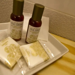 Отель 1930 City Lodge ванная