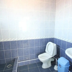 Гостиница Karolina Guest House в Анапе отзывы, цены и фото номеров - забронировать гостиницу Karolina Guest House онлайн Анапа ванная фото 2