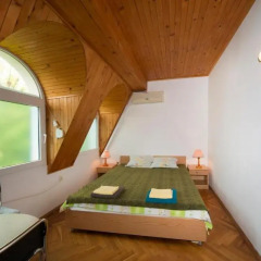 Отель Guest House Spiro near Botanical Garden детские мероприятия