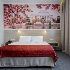 Гостиница Aterra Suite 3* Стандартный номер с двуспальной кроватью фото 4
