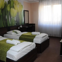 Green Hotel Budapest 4* Стандартный номер с двуспальной кроватью
