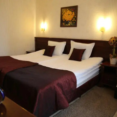 Hotel Aris 3* Стандартный номер с различными типами кроватей фото 5